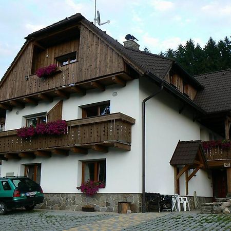 Apartmany U Vacu Železná Ruda 外观 照片